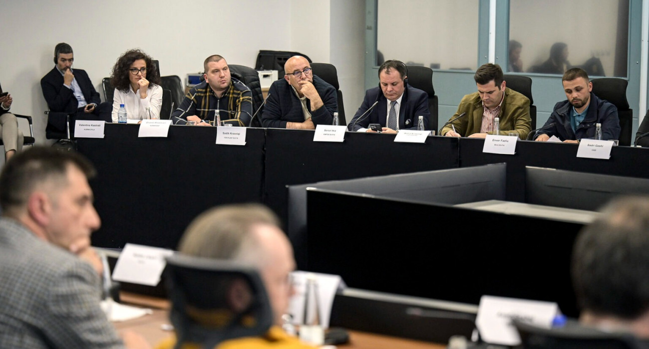 Liberalizacija Tržišta Električne Energije: Efekti i Ublažavajuće Mere