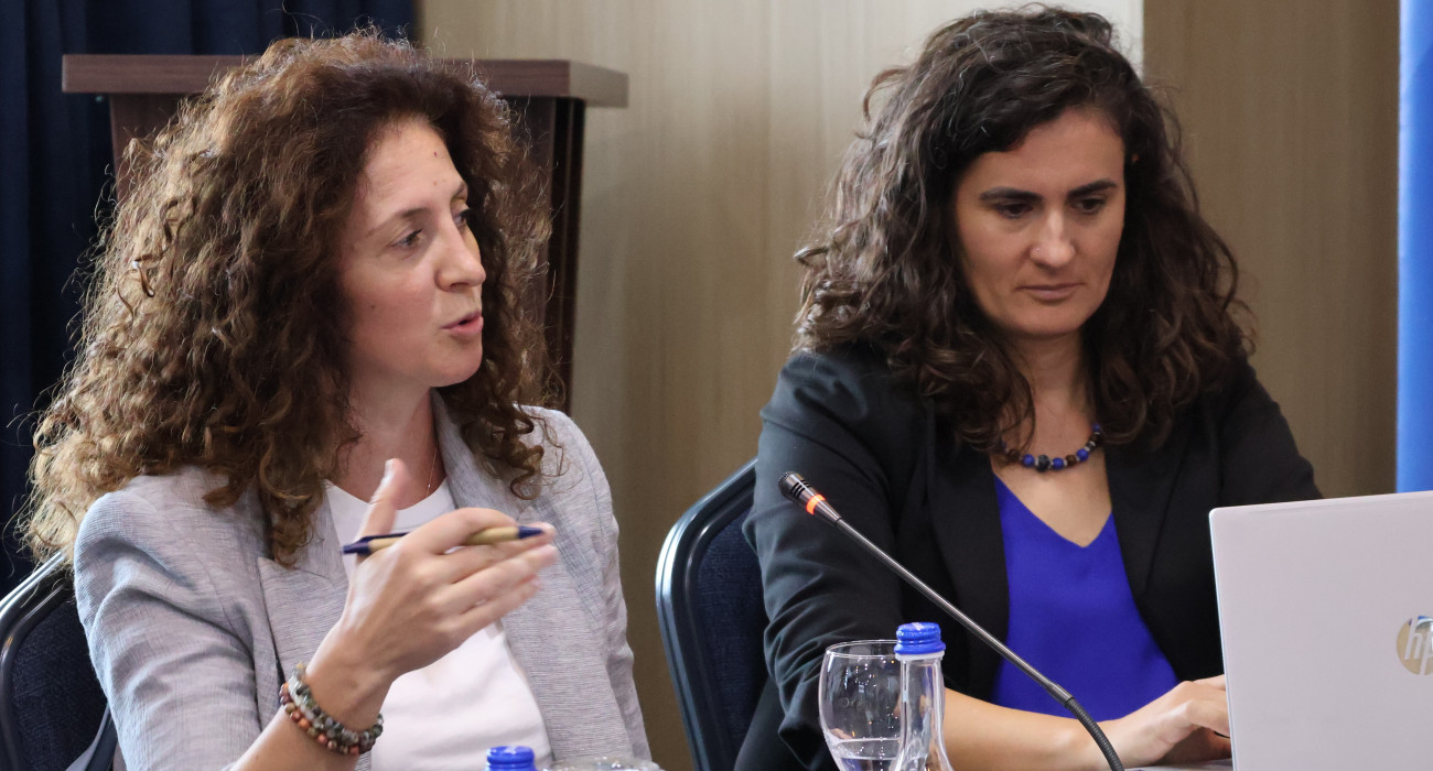 Forumi për Ekonomi të Gjelbër: Përgatitja e bizneseve të Kosovës për tregje më të gjelbra të BE-së